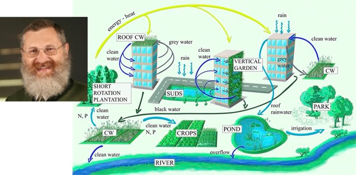 Martin and urban water cycle
